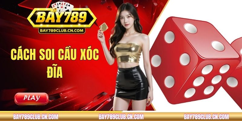 Cách Soi Cầu Xóc Đĩa Và Ứng Dụng Thực Tế Khi Cá Cược